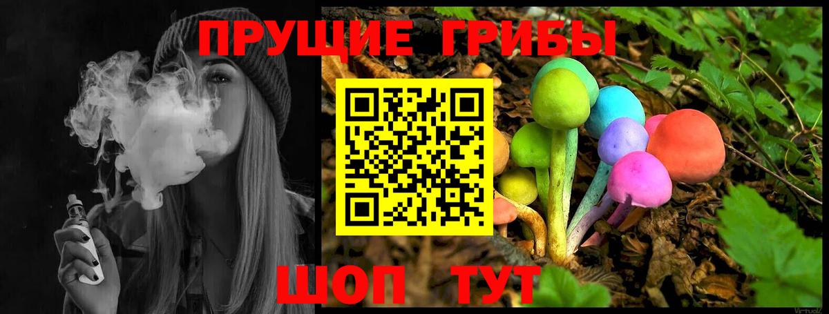 Галлюциногенные грибы GOLDEN TEACHER Каменск-Шахтинский